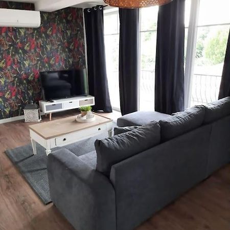 Superbe Appartement Climatise Au Centre Ville 777 Brazey-en-Plaine Esterno foto