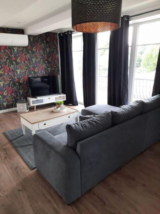 Superbe Appartement Climatise Au Centre Ville 777 Brazey-en-Plaine Esterno foto
